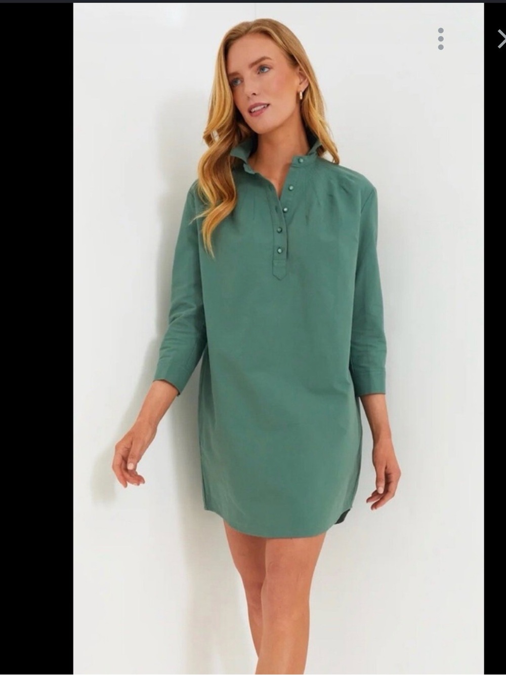 Tuckernuck Sage Green Mini Shirt Dress